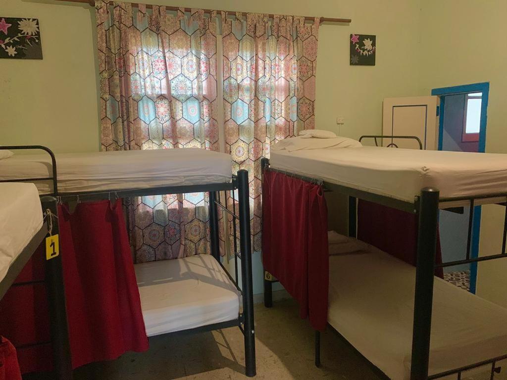 The Pelican Larry Hostel カリ エクステリア 写真
